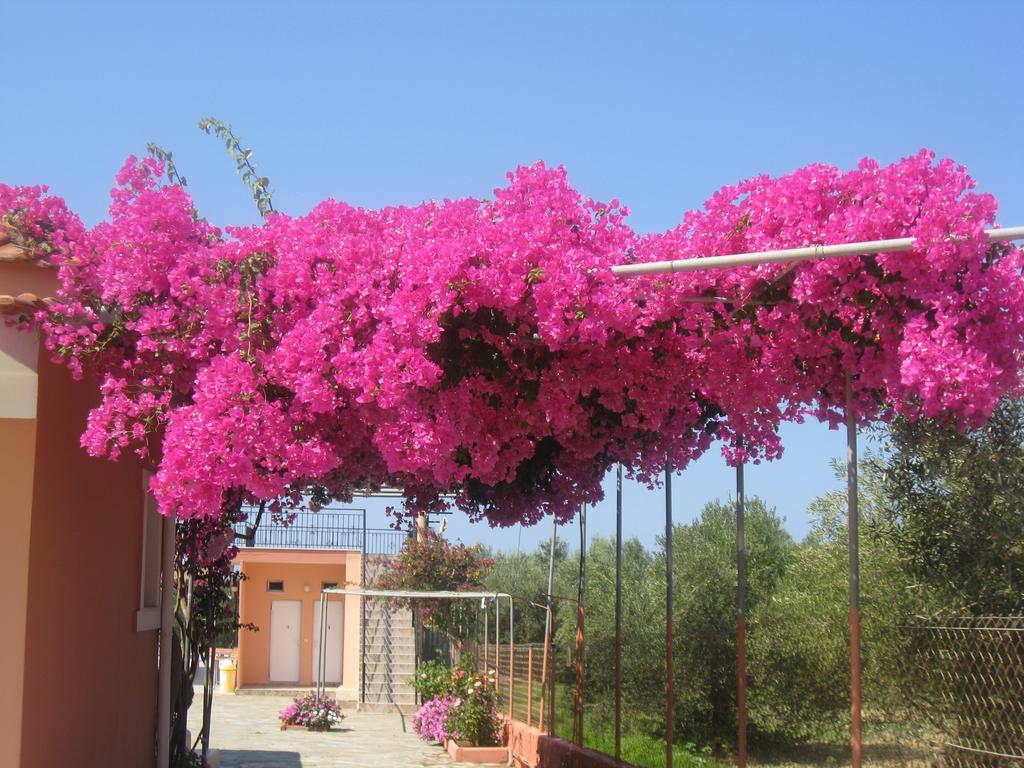Paradise Studios Svoronata Exterior photo