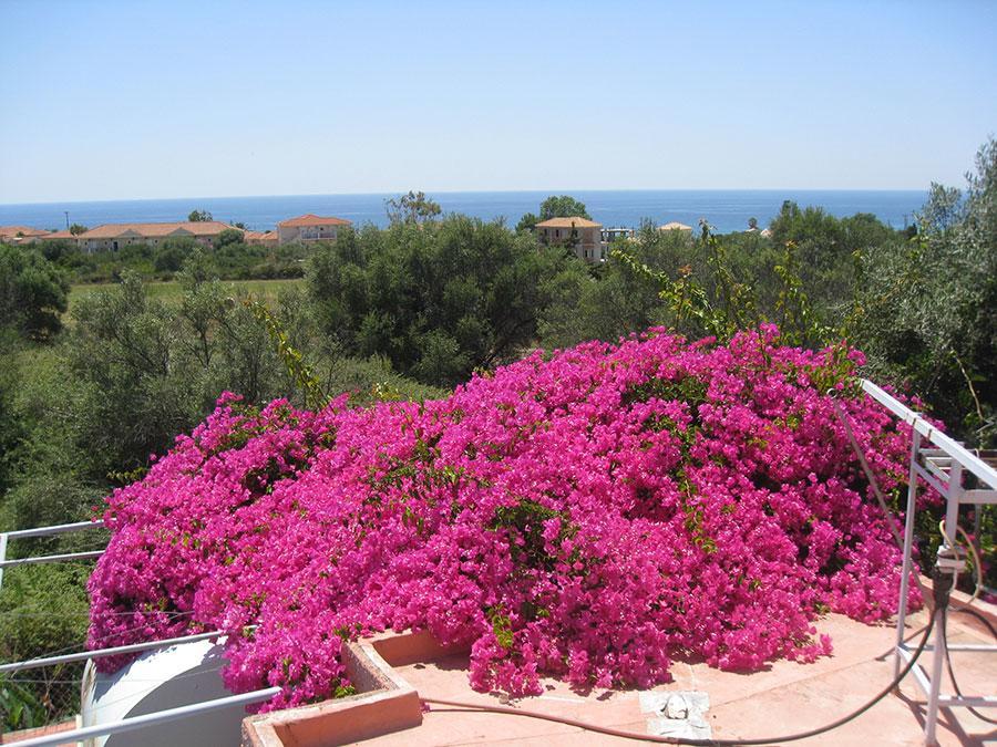 Paradise Studios Svoronata Exterior photo